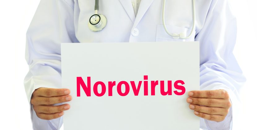 What You Need To Know About Norovirus: Prevention, Symptoms, and Treatment