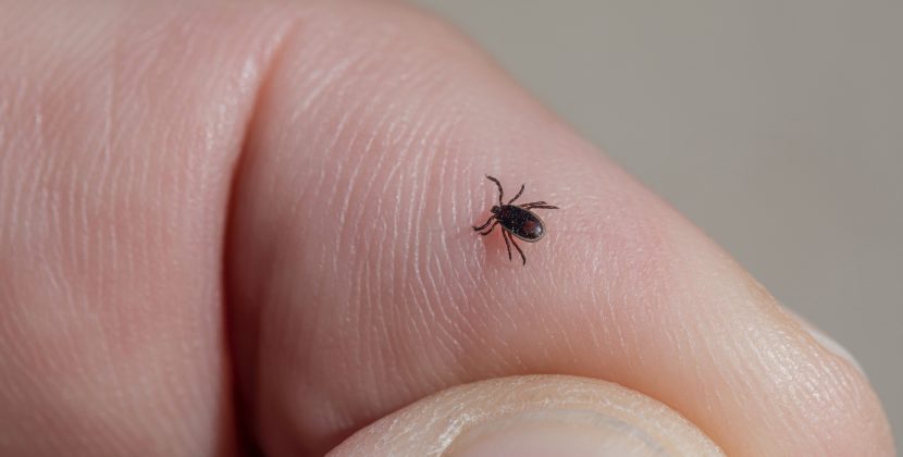 The Growing Threat of Babesiosis: What Public Health Officials Recommend