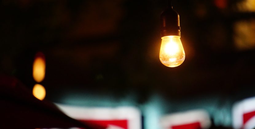 Incredible Facts About the Big and Beautiful Giant Trapdoor Spider