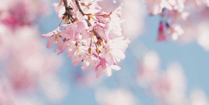 Tackling Corruption and Fraud: The Role of an Adviser in Restoring Trust in Banks