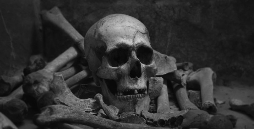 Beyond the Beach Body: How Strength Training Boosts Overall Health and Wellness