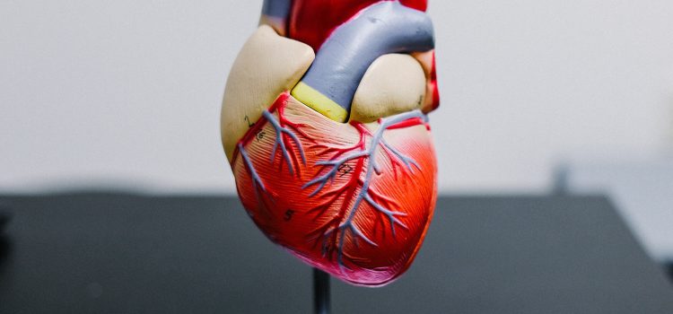 Say Goodbye to Heart Disease: Simple Strategies for Keeping Your Heart Healthy