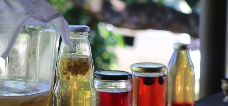 Prebiotics vs Probiotics: What’s the Difference and Which One Should You Prioritize?