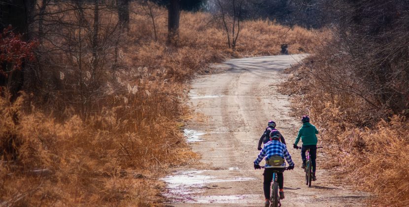 Exercise as Medicine: Why Physical Activity Should Be Part of Your Mental Health Treatment Plan