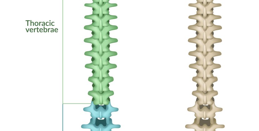 The Adderall Dilemma When Your Medication is Out of Stock