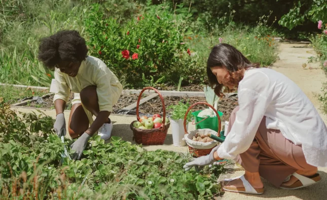 Growing Together: How Community Gardens Foster Social Connections