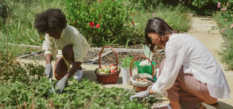 Growing Together: How Community Gardens Foster Social Connections