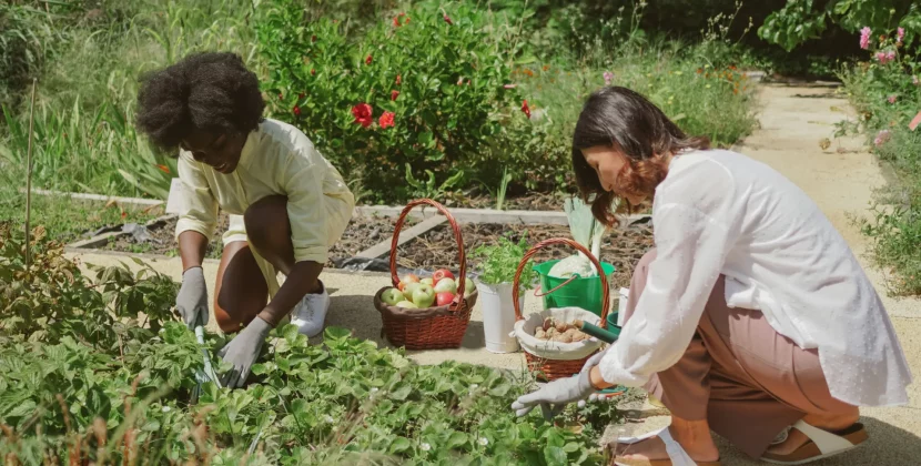 Growing Together: How Community Gardens Foster Social Connections
