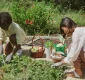 Growing Together: How Community Gardens Foster Social Connections