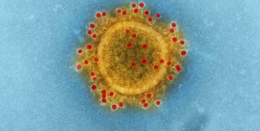 Sexually Transmitted Infections (STIs): Common Types, Symptoms, and Prevention Strategies