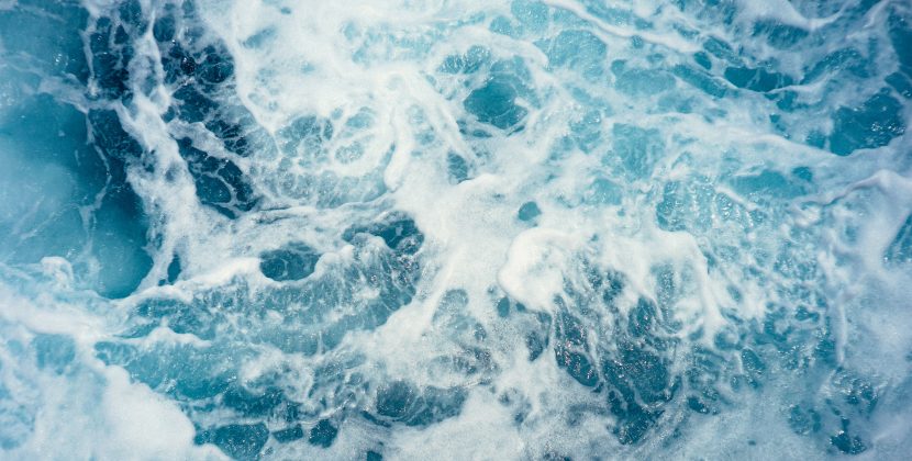 From Research to Action: The Critical Role of Science in Advancing Ocean Conservation Efforts