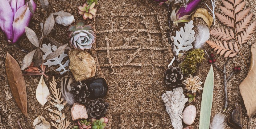 Going Green: How a Plant-Based Diet Can Help Reduce Your Carbon Footprint