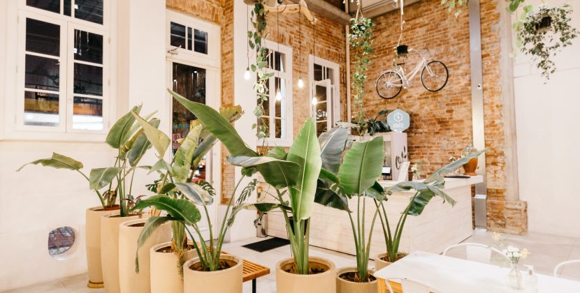 Mastering Mindful Eating: Strategies for Dining Out