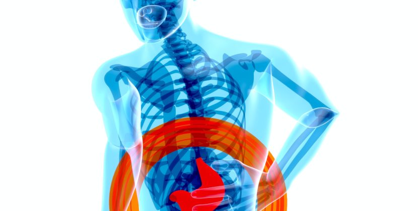 Gut Microbiome Diversity: Why Having a Variety of Beneficial Bacteria is Key to Good Health