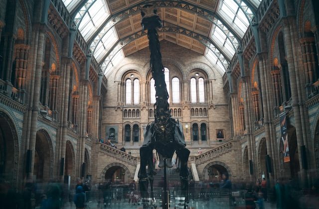 Investing: Overcoming Emotional Biases