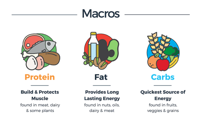 How to Get the Most Out of Your Macro and Micronutrient Intake