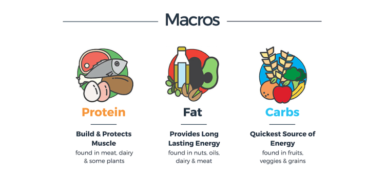 How to Get the Most Out of Your Macro and Micronutrient Intake