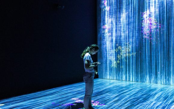 The Limits of AI: Understanding the Boundaries of Machine Learning