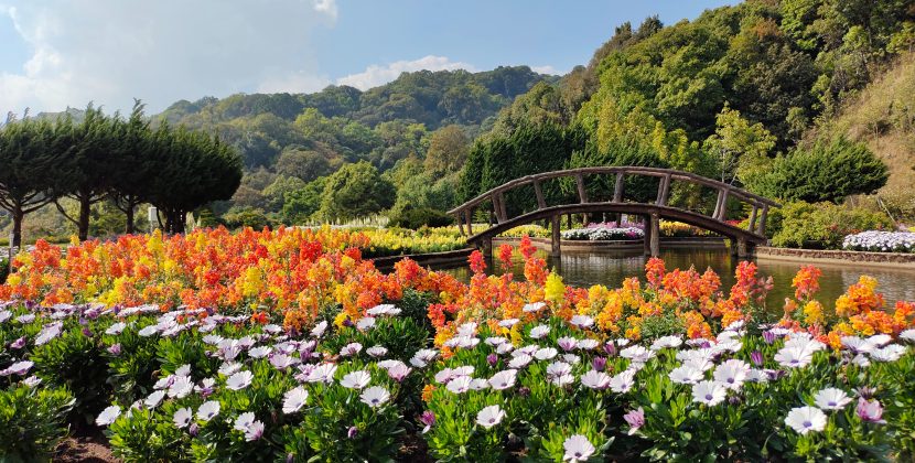 Designing a Sensory Garden: Incorporating Fragrant and Textured Plants into Your Space