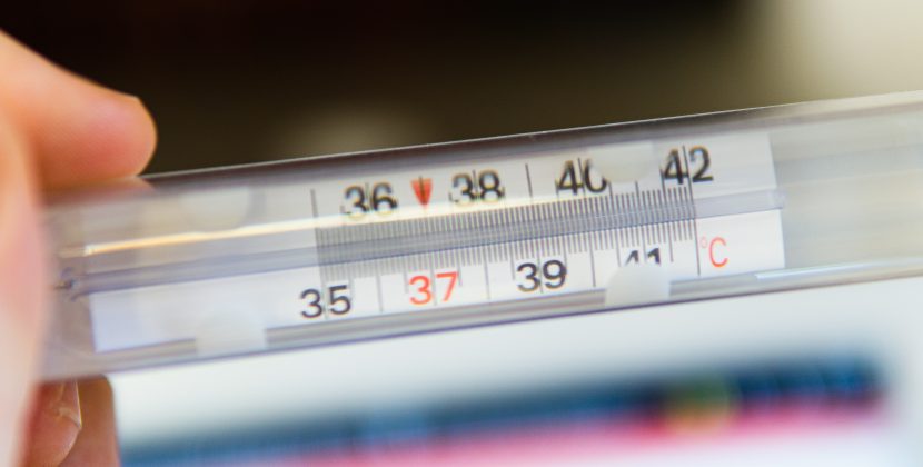 Devastating Impact of Yellow Fever