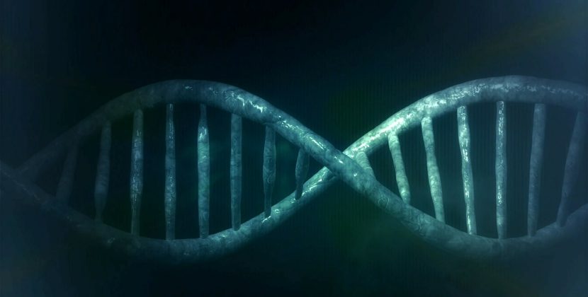 Unraveling the Mystery: The Intriguing Story of Rosalind Franklin’s Contribution to DNA Discovery
