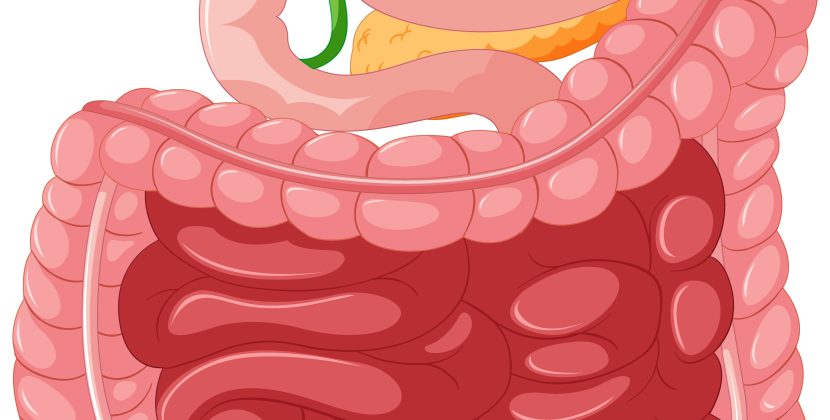 Risks and Prevention of Spleen