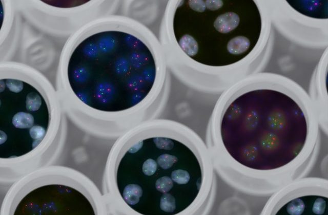 Understanding Genetic Mutations and their Impact on Inherited Traits