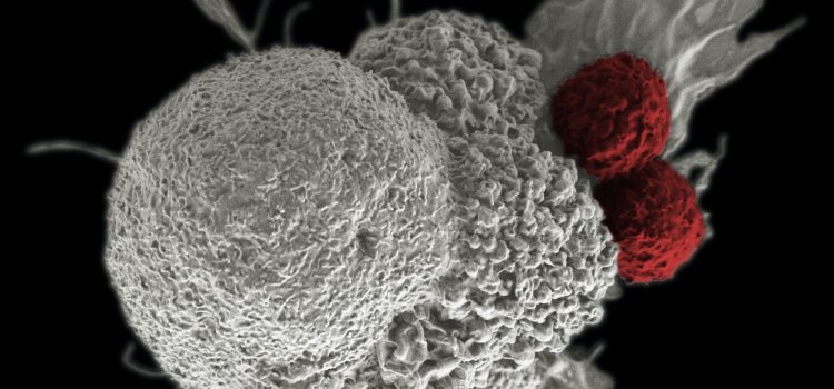 From Prevention to Treatment: How Cancer Vaccines Could Revolutionize Oncology Care