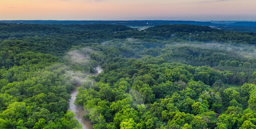 The landscape architect, the nuns, and the forest of the future