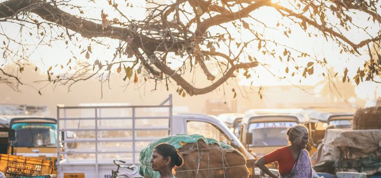 The Intersection of Science and Culture: Why it’s Crucial for Effective Learning