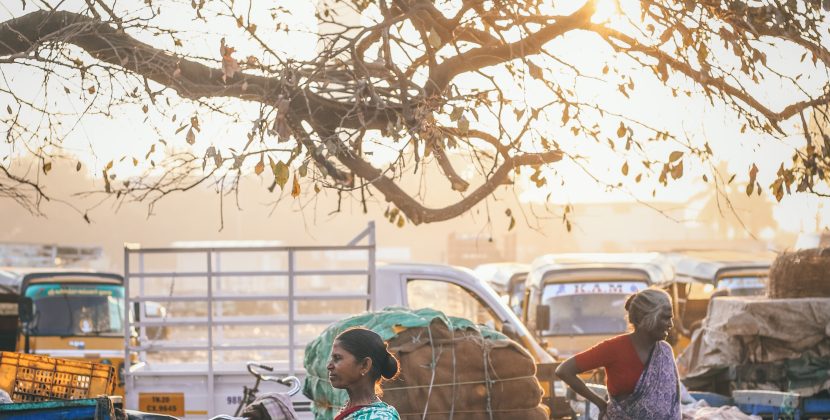 The Intersection of Science and Culture: Why it’s Crucial for Effective Learning