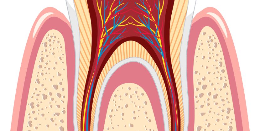 Gum Disease and Diabetes