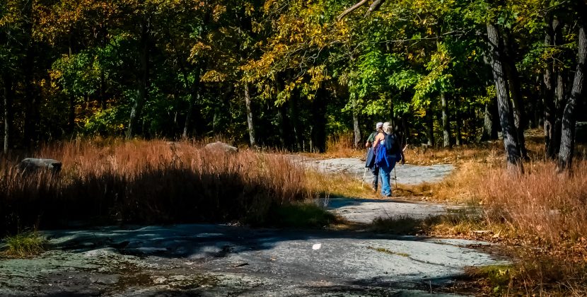 Exercise Your Mind and Body: A Guide to Senior Wellness