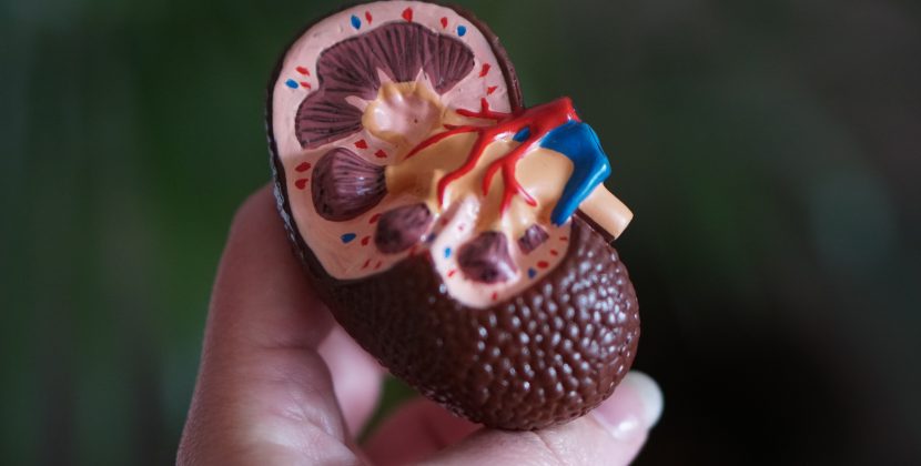 Inspiring Kidney Transplantation