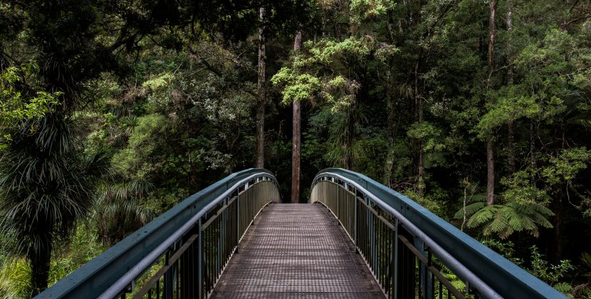 The Science Behind the Magic: How Nature Impacts Your Mind