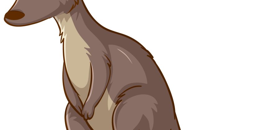 Athleticism of Kangaroos