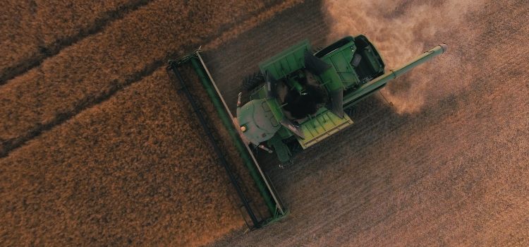 From Biocontrol to Gene Editing: Innovative Tools for Managing Agricultural Diseases