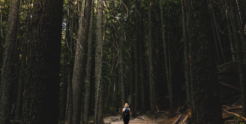 Reaping the Rewards: Nature’s Impact on Your Mind and Body