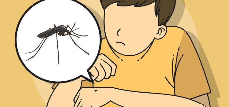 Science Behind the Spread of Malaria and How to Stop It