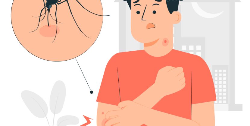 Navigating the Journey of a Dengue Patient