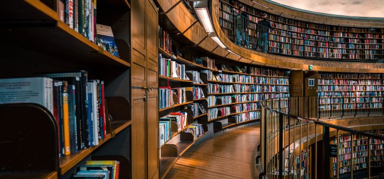 Breaking the Mold: Redefining Education Policy for the Next Generation’s Triumph