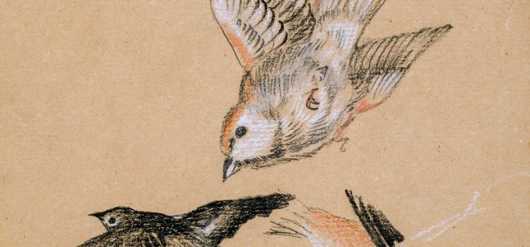 Unleashing Your Creative Odyssey: Mastering the Artistic Expedition
