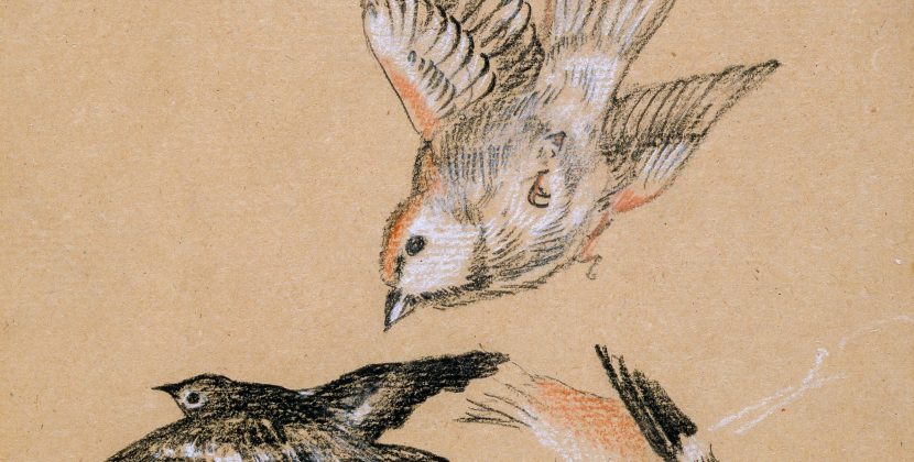 Unleashing Your Creative Odyssey: Mastering the Artistic Expedition