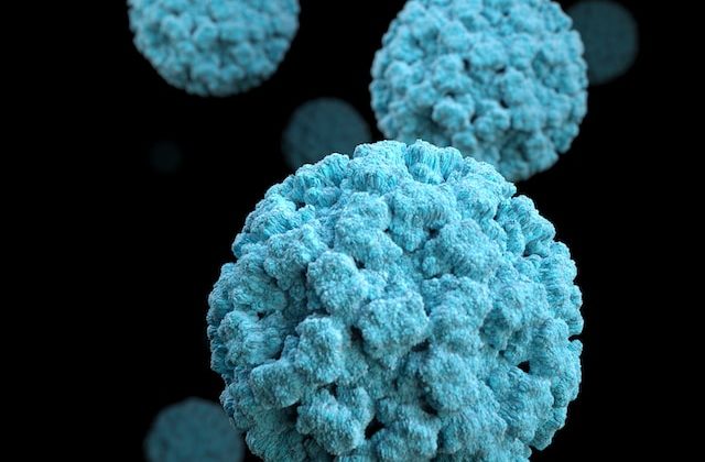 Control of Your Fibroids and Improve Your Quality of Life