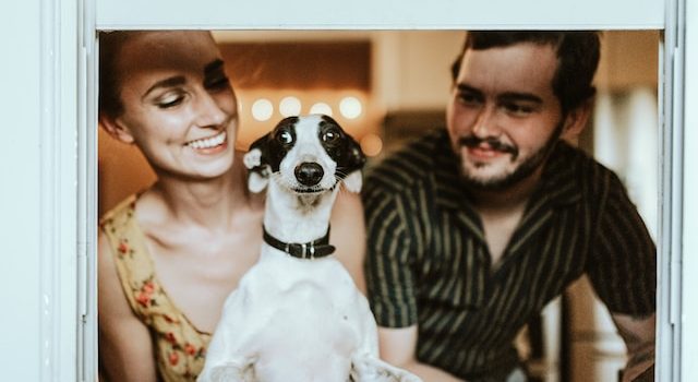 Future of Canine Communication Button-Pressing and Beyond