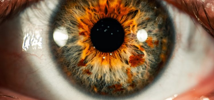The Ultimate Guide to Banishing Dark Circles and Bags: Tips and Tricks for a Brighter Look