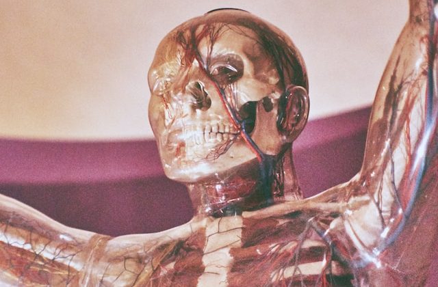 Autoimmune Diseases Symptoms, Causes, and Treatments