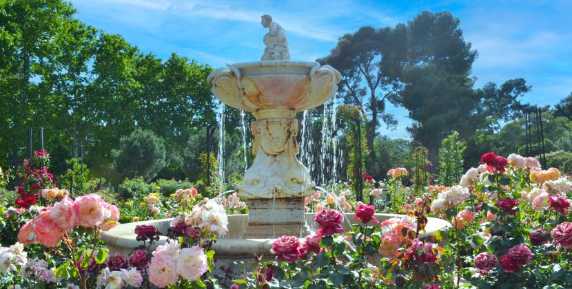 Bringing Sustainable Gardening Practices: Tips on Making Your Outdoor Space Eco-Friendly