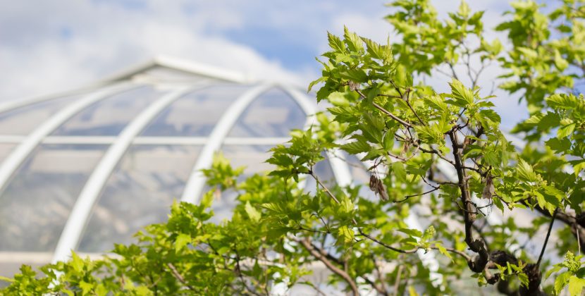 Stock Market Volatility Tips