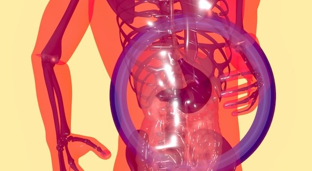 Fatty Liver Disease Symptoms, Causes, and Treatment Options